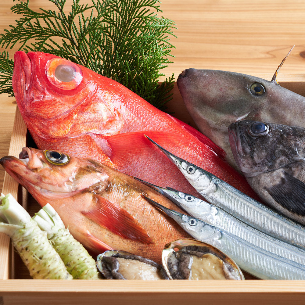 その他鮮魚 – 株式会社寿商店