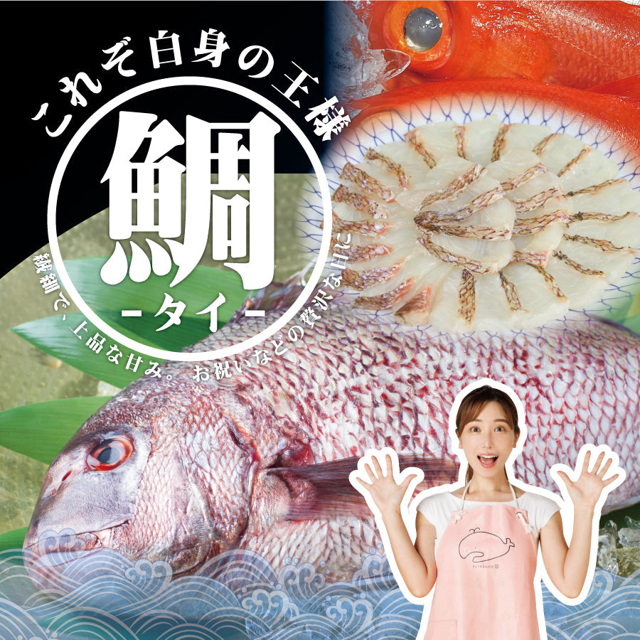 鯛(タイ)