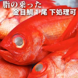 金目鯛(きんめだい・キンメダイ)1尾約1kg★レシピ多数!魚屋の森さん推薦★