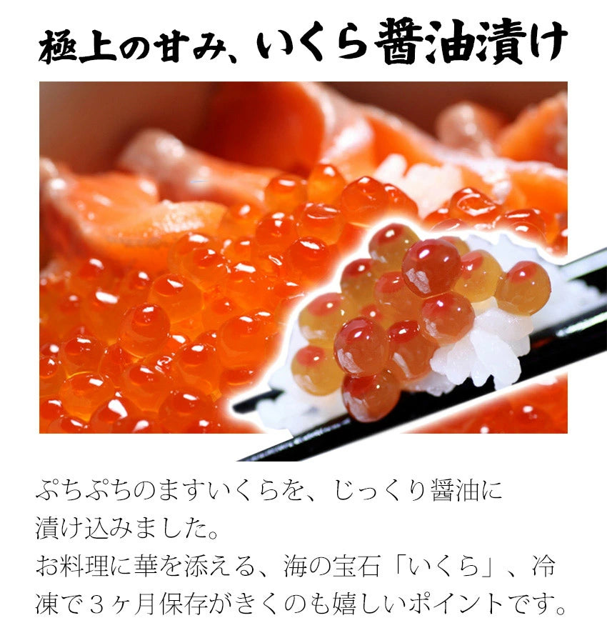 味付き鱒(ます)いくら・醤油(しょうゆ)漬けいくら500g/イクラ