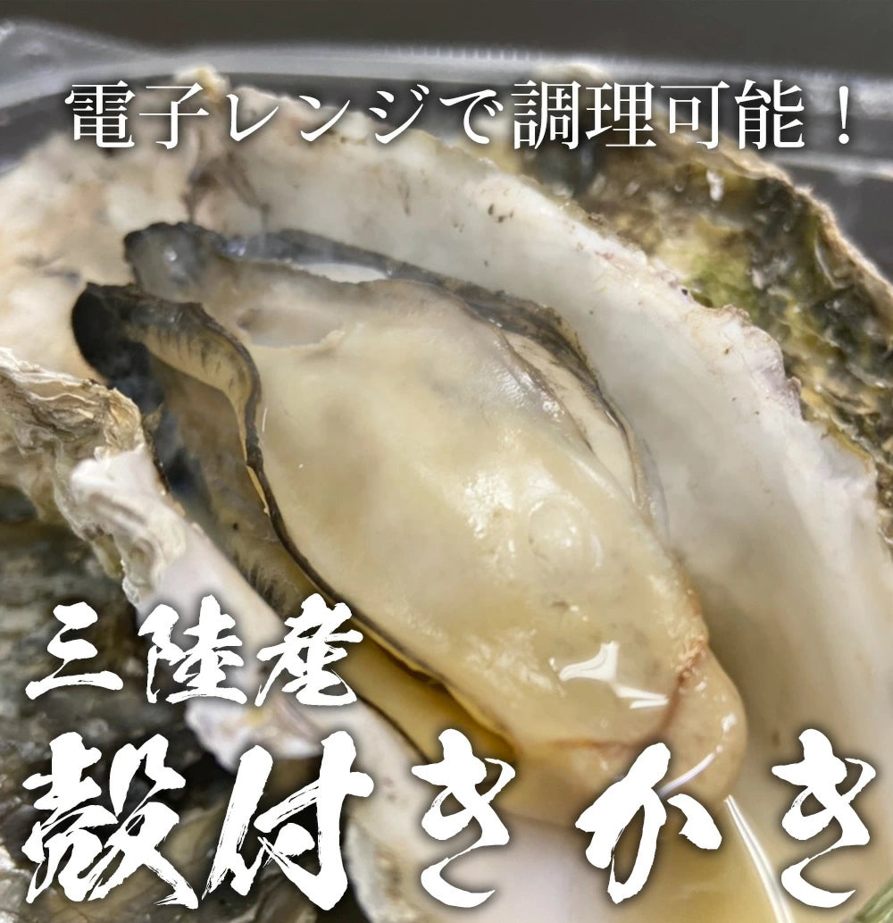 電子レンジで簡単調理♪三陸産殻付き牡蠣(かき/カキ) 蒸し牡蠣にもおすすめ♪