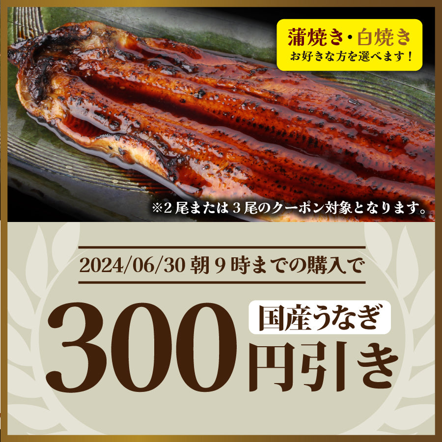 【早割実施中！】土用の丑早割300円引き