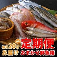 【五島列島の鮮魚ボックスの販売について】