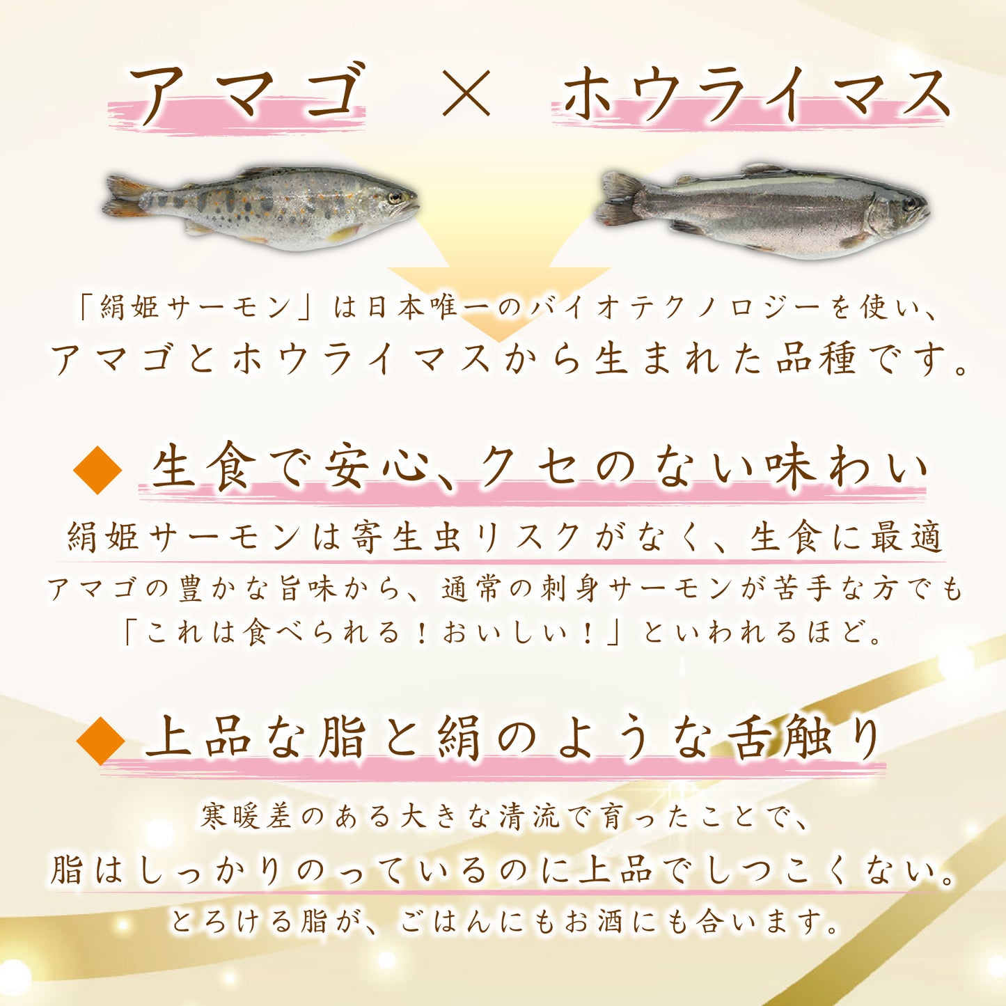 【冷凍便】愛知ブランド・絹姫サーモン刺身用約500ｇ～