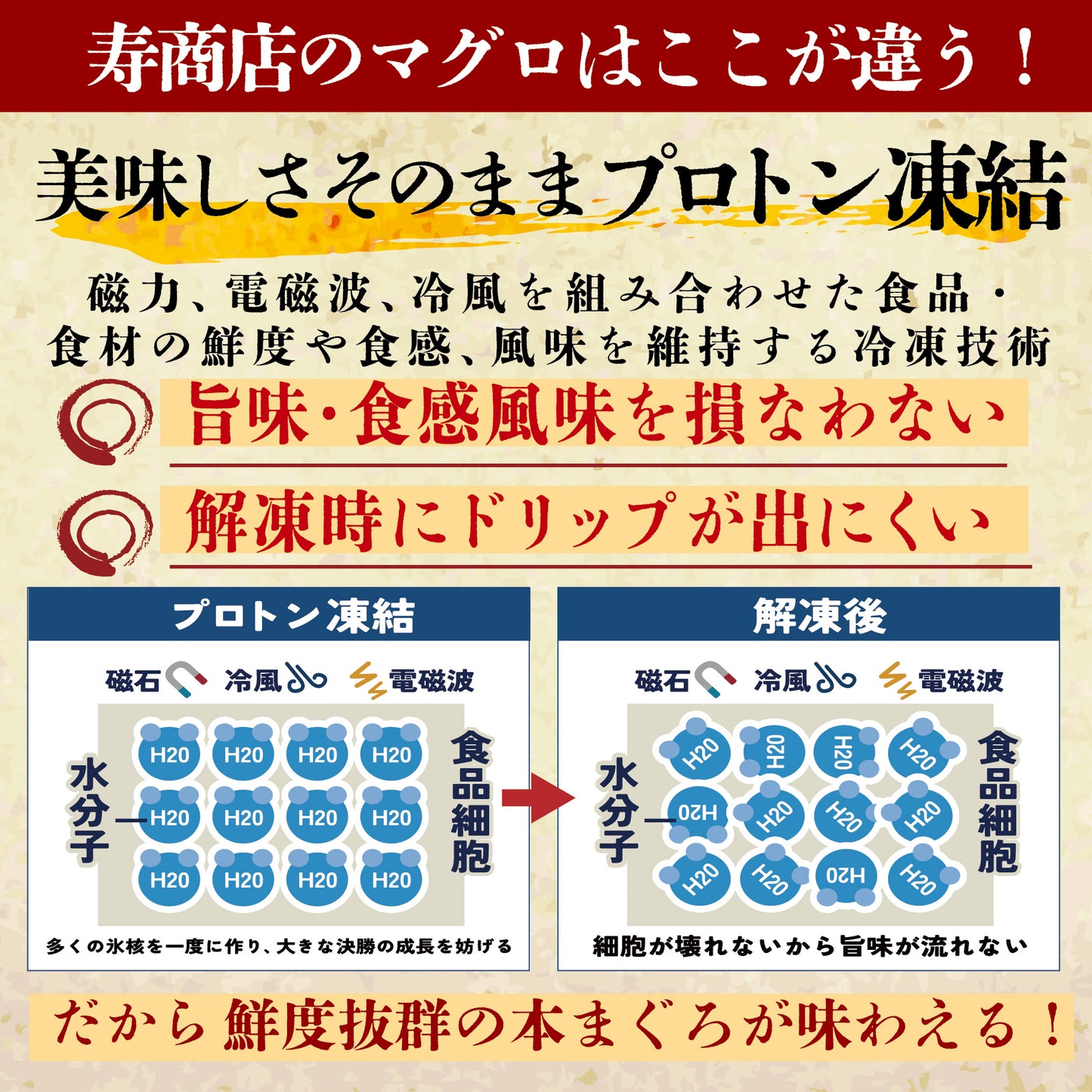 甘醤油（しょうゆ）【寿甘熟（ことぶきかんじゅく）】寿商店特製 魚屋の森さん 【常温便・冷凍便】