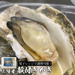 電子レンジで簡単調理♪三陸産殻付き牡蠣（かき/カキ） 蒸し牡蠣にもおすすめ♪