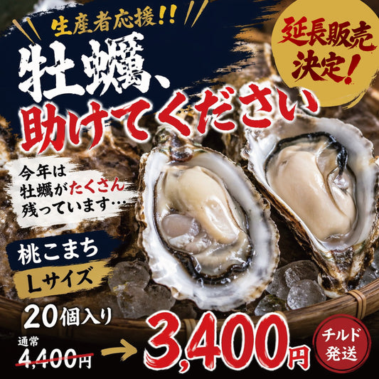 ＜5/24（日）着まで！＞【本店OPEN記念】鳥羽桃取・生牡蠣桃こまちLサイズ20個入〈冷蔵便限定〉