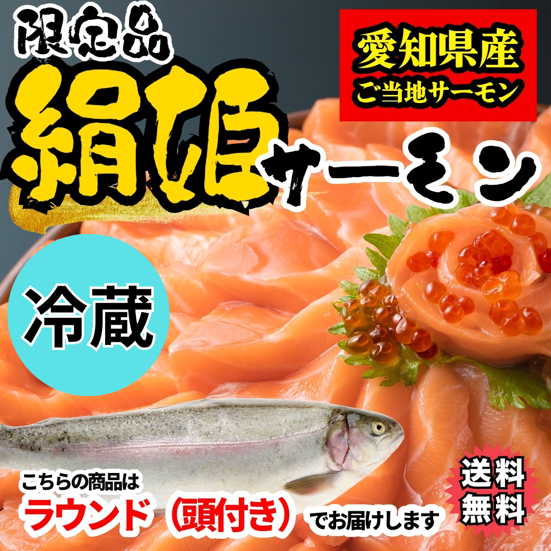 【愛知県ブランド魚】【冷凍・冷蔵】絹姫(きぬひめ)サーモン約約1.5〜2kg（生食用・刺身OK）
