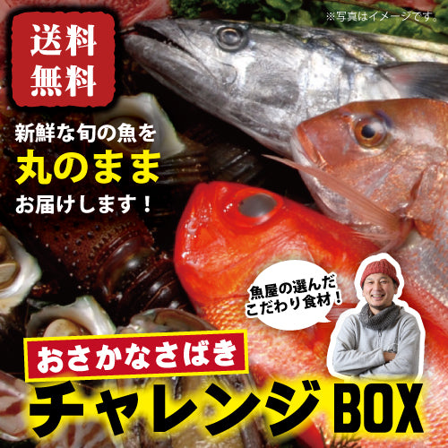 ご自宅でチャレンジ！国産お魚さばきチャレンジBOX【冷蔵便限定】