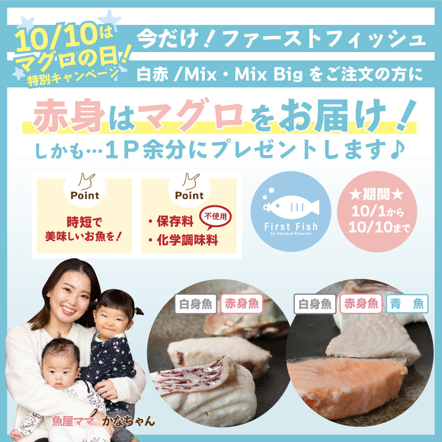 【First Fish/1歳6ヶ月から】魚屋ママのこだわり！お魚はんぺん/無添加（化学調味料＆保存料不使用）/グルテンフリー/減塩