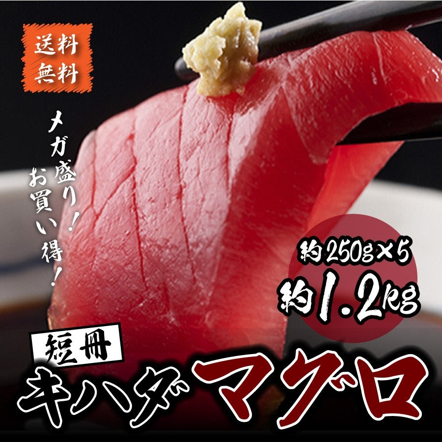 少量サイズ【250g〜1.2kg】キハダマグロ（鮪・まぐろ）短柵  単品 or 5個セット