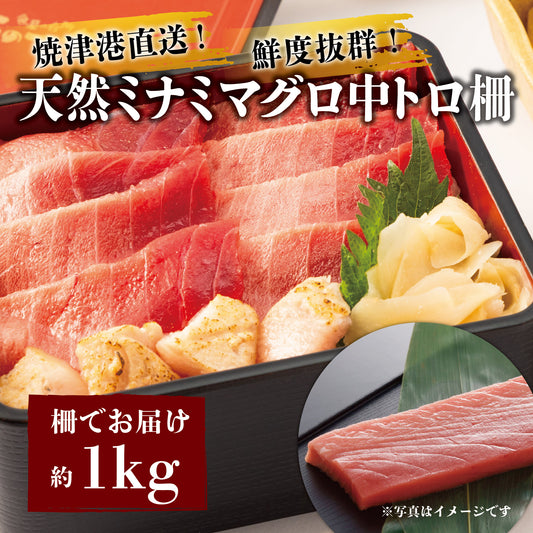 ＜焼津港直送＞ミナミマグロ中トロ柵約1kg【冷凍便限定】