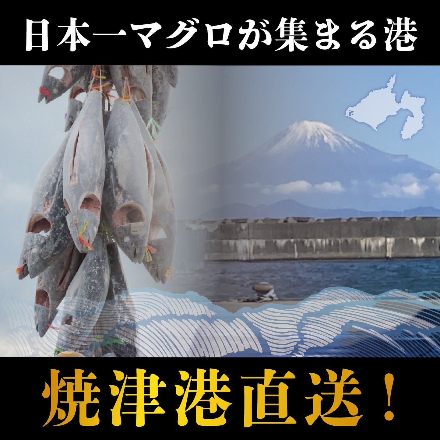 ＜焼津港直送＞ミナミマグロ中トロ柵約1kg【冷凍便限定】