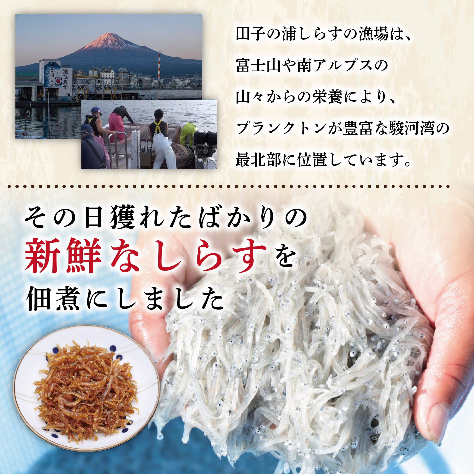 生炊きしらすの佃煮約64g・静岡県田子の浦産【ネコポス配送5個まで