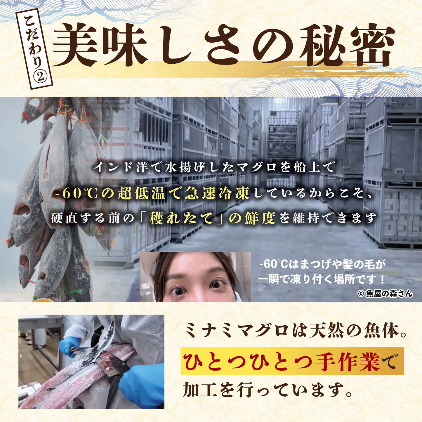 ＜焼津港直送＞ミナミマグロ中トロ柵約1kg【冷凍便限定】