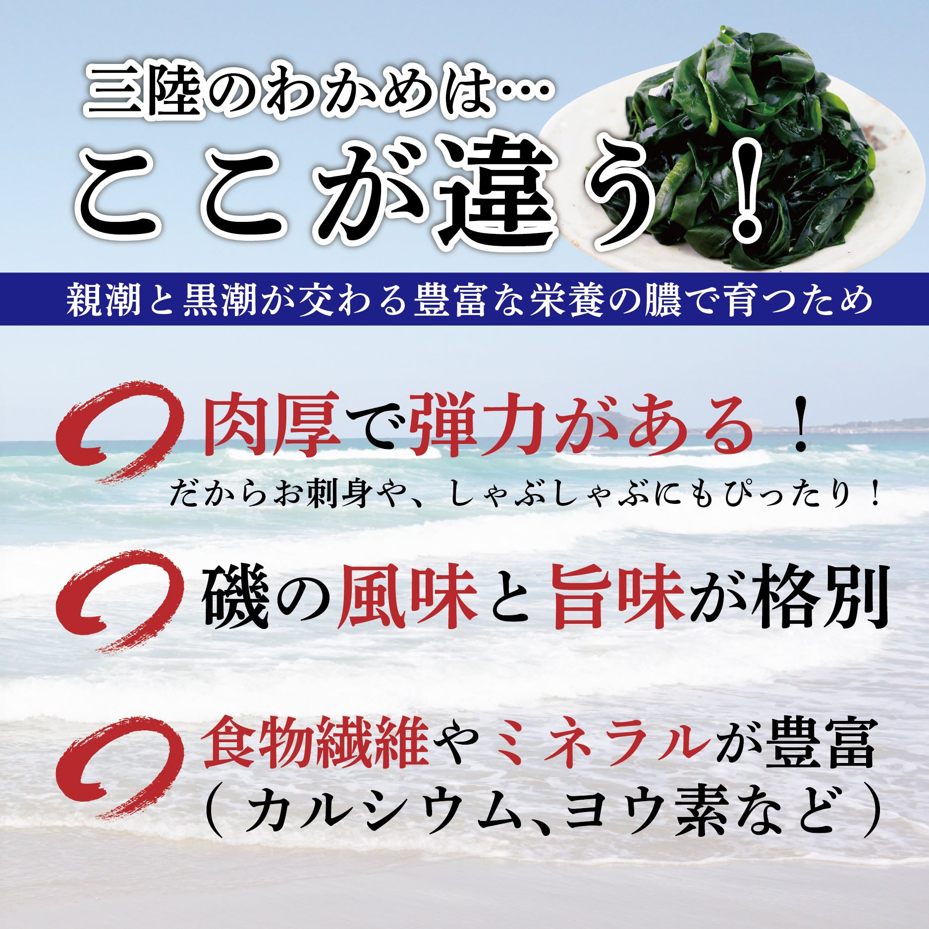 SANNRIKU_WAKAME-02.jpg?v=