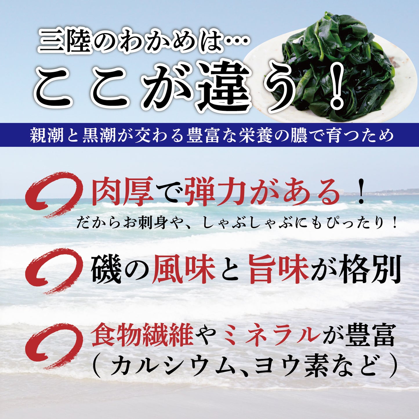【ネコポスポスト投函可】三陸肉厚わかめ約200g（塩蔵）