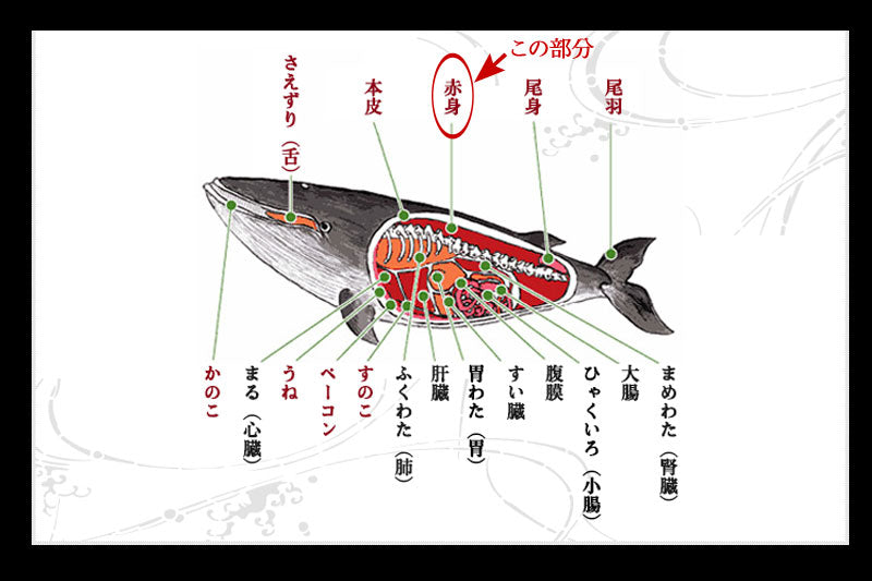 サイズが選べる！寿商店自慢のニタリ鯨(くじら・クジラ）の刺身用赤肉 ブロック1ｋｇ or 小分け150ｇ