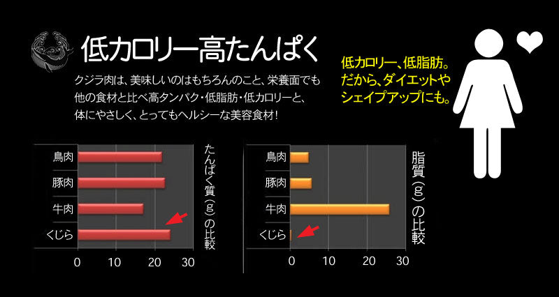 サイズが選べる！寿商店自慢のニタリ鯨(くじら・クジラ）の刺身用赤肉 ブロック