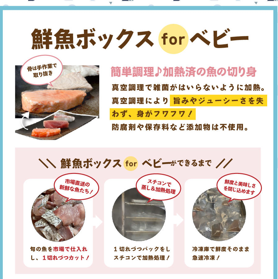 【First Fish/離乳食】魚屋ママの考えた 選べるコース おまかせ鮮魚ボックスforベビー