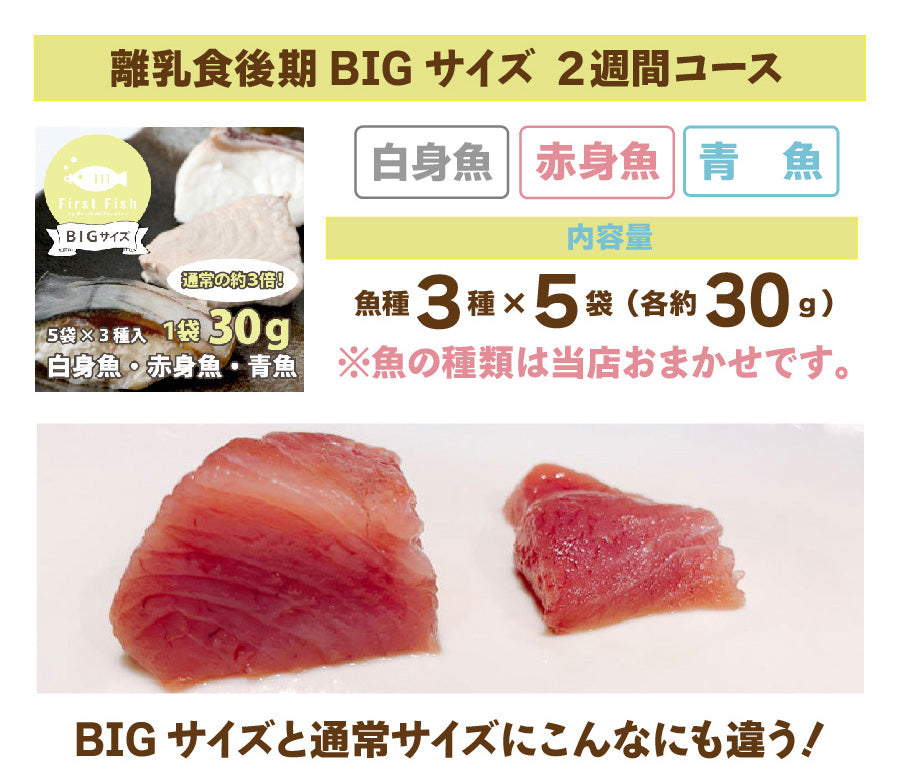 【First Fish/離乳食】魚屋ママの考えた 選べるコース おまかせ鮮魚ボックスforベビー