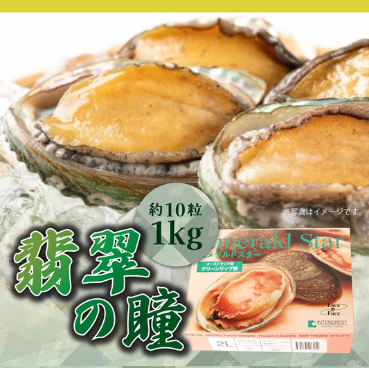 【化粧箱入】アワビ（あわび）「翡翠の瞳」　約10粒1kg