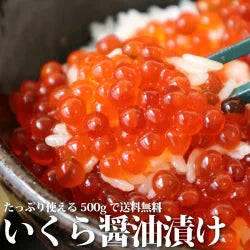 味付き鱒（ます）いくら・醤油（しょうゆ）漬けいくら500g/イクラ