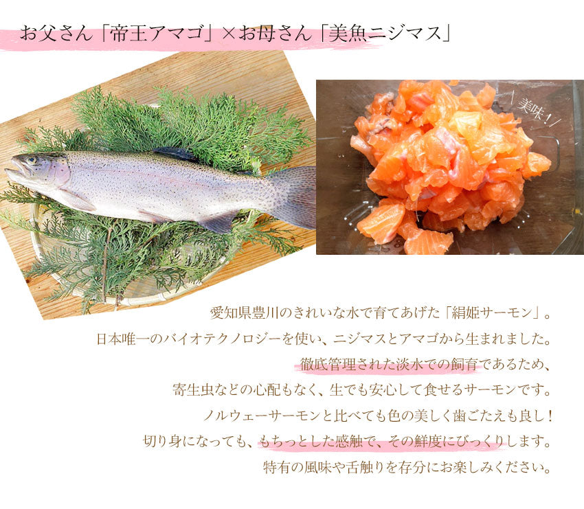 【愛知県ブランド魚】【冷凍便限定】絹姫(きぬひめ)サーモン約1.2~1.5kg（生食用・刺身OK）