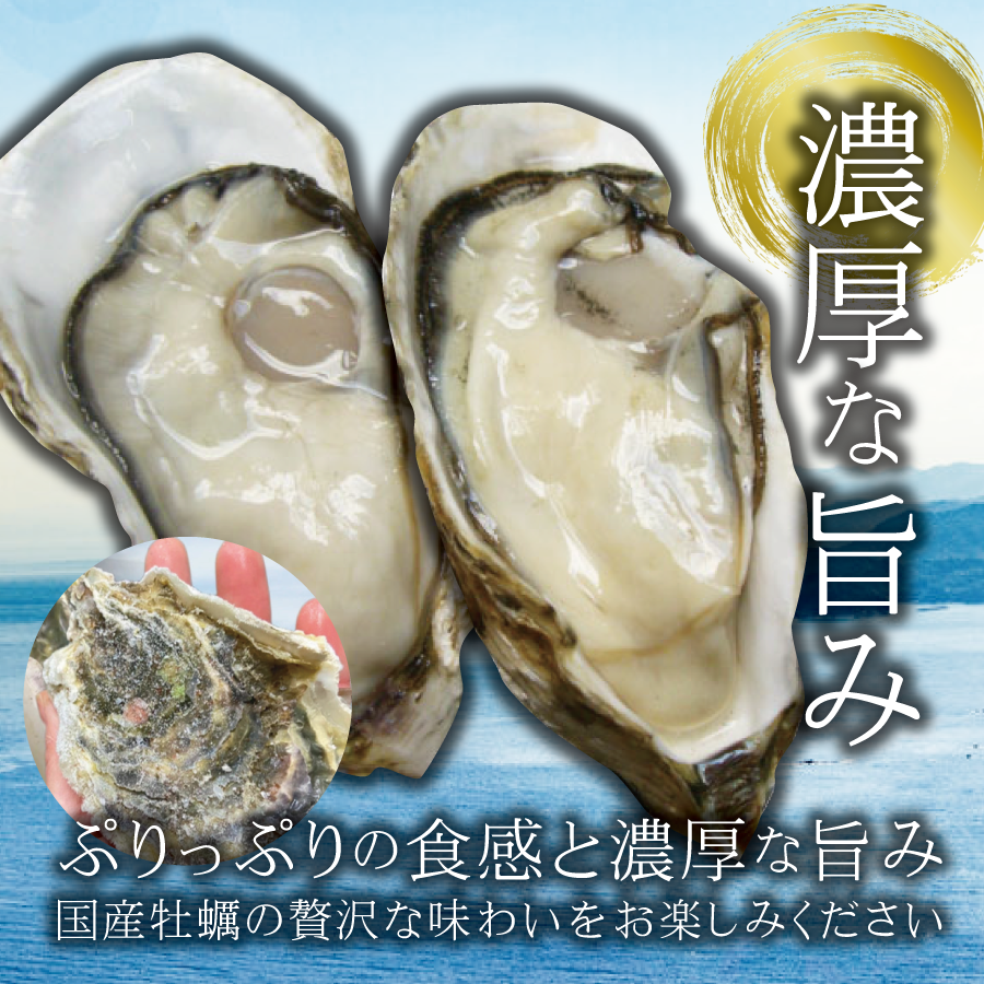 ＜送料無料＞【1㎏約30個入り】国産殻付き牡蠣（かき/カキ）（生食可） 電子レンジで簡単蒸し牡蠣もおすすめ♪