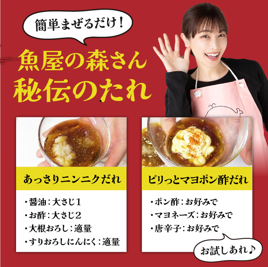 サイズが選べる！一本釣りの藁焼きカツオのたたき 約500g or 約1kg or メガ盛り約3kg 専用たれ付