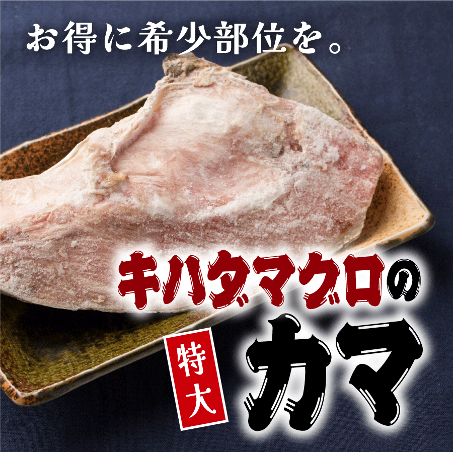 【特大】キハダマグロ(鮪/まぐろ)のカマ(かま)1個・BBQにおすすめ! – 株式会社寿商店