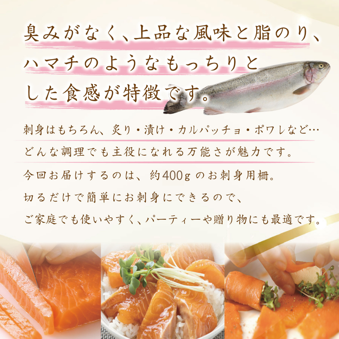 【冷凍便】愛知ブランド・絹姫サーモン刺身用約400ｇ～