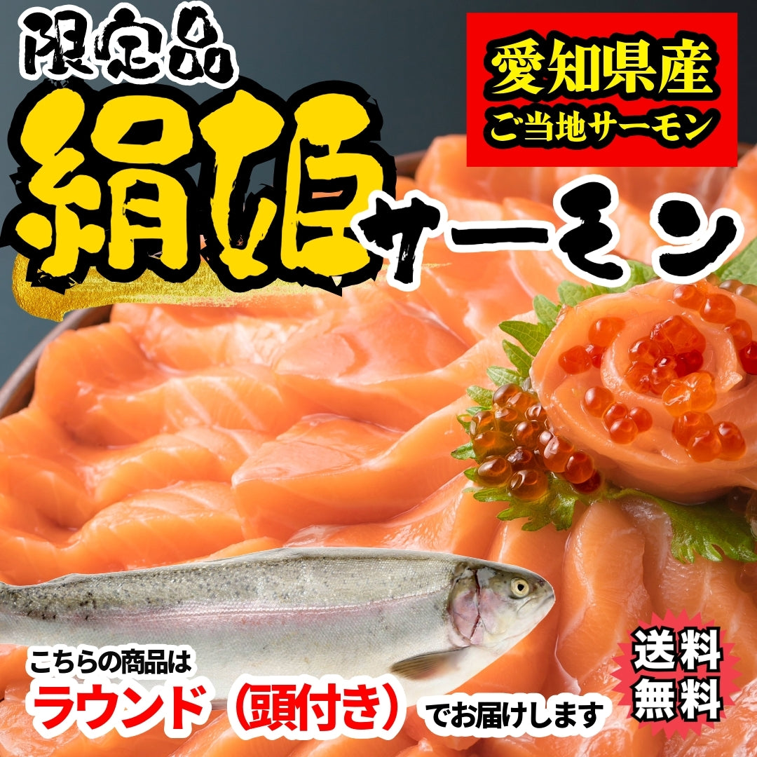 【愛知県ブランド魚】【冷凍便限定】絹姫(きぬひめ)サーモン約1.2~1.5kg（生食用・刺身OK）