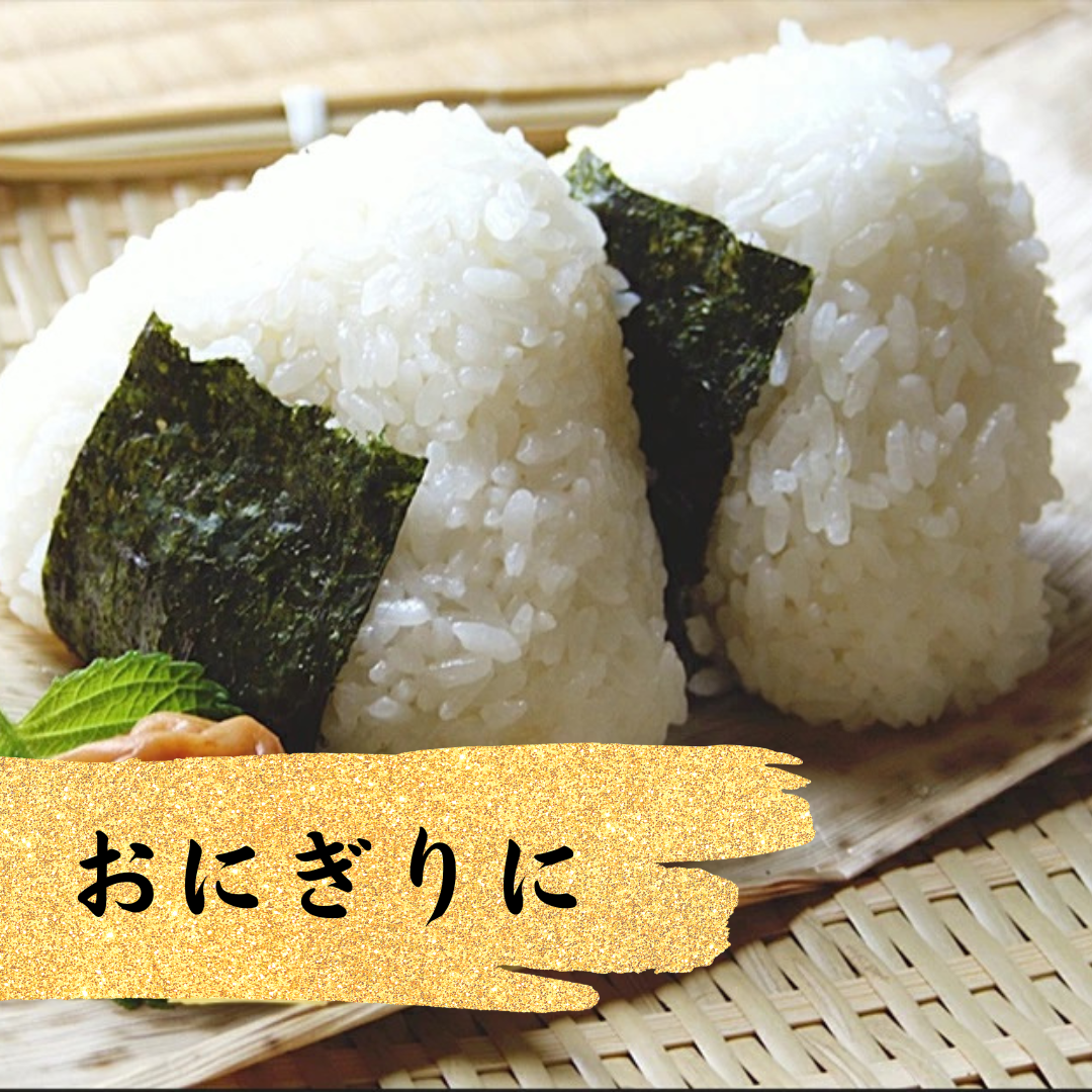 【ポスト投函可】佐賀県産最高級有明海苔半切10枚/最高級品