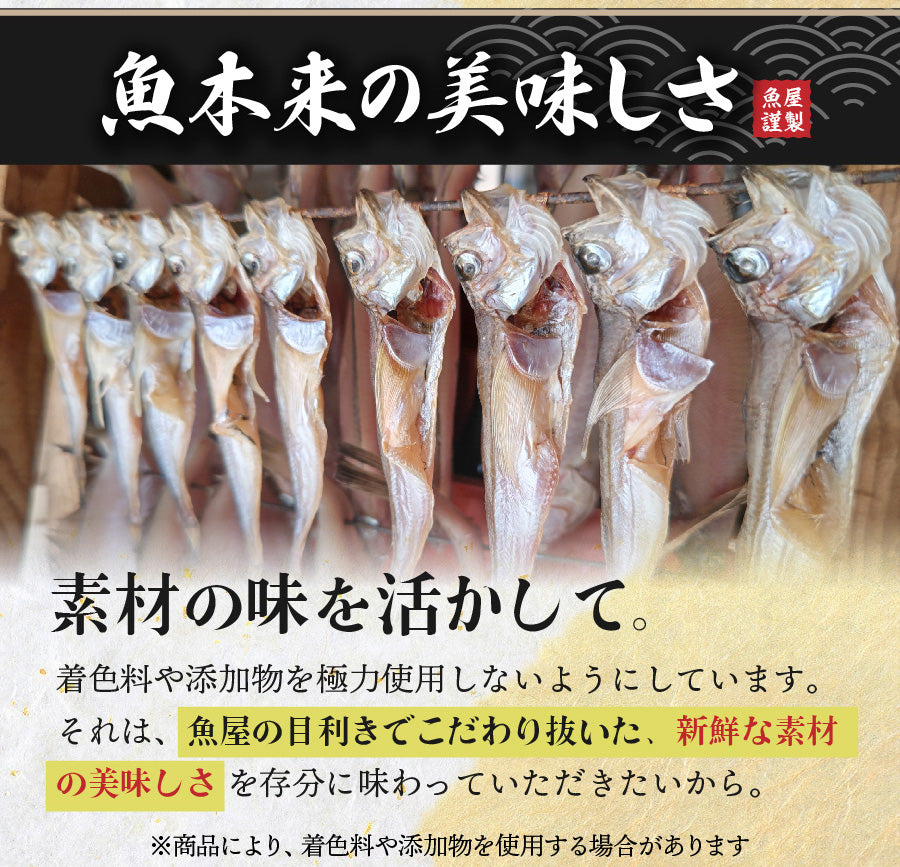 【コースが選べる！】魚屋こだわりの干物詰合せ（ひもの）セット　 3魚種 6枚 or 5魚種 11枚以上