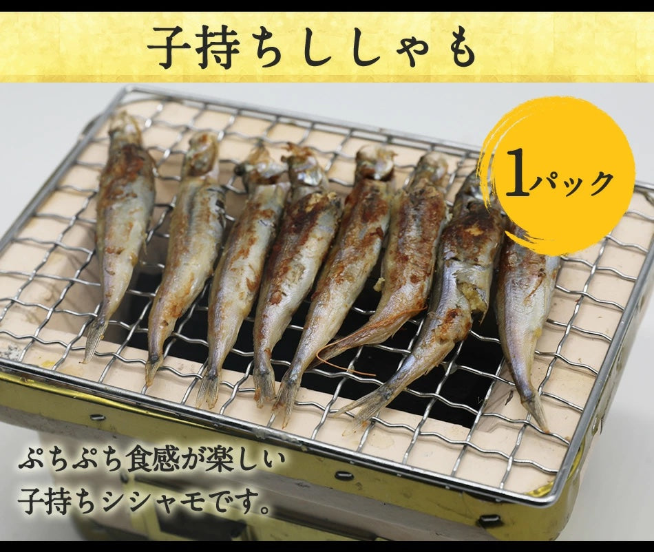 【プレミアムBBQセット】10種23～26品たっぷり海鮮バーベキューセット(4-5人前)大磯屋焼きそばおまけつき