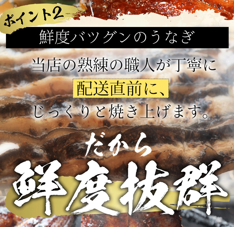 【国産鰻 1尾】自慢の自家焼き！選べる！活うなぎ蒲焼きor 白焼き