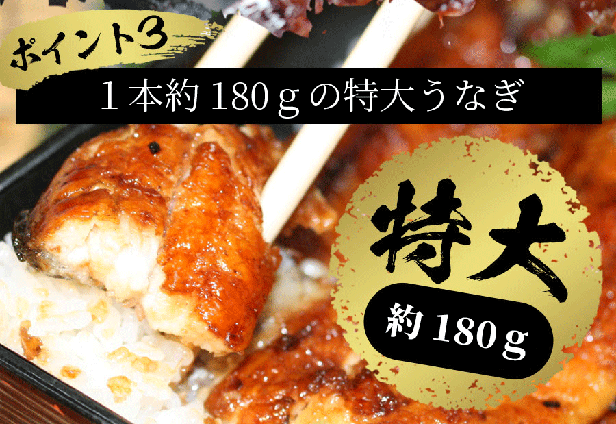 【国産鰻 1尾】自慢の自家焼き！選べる！活うなぎ蒲焼きor 白焼き