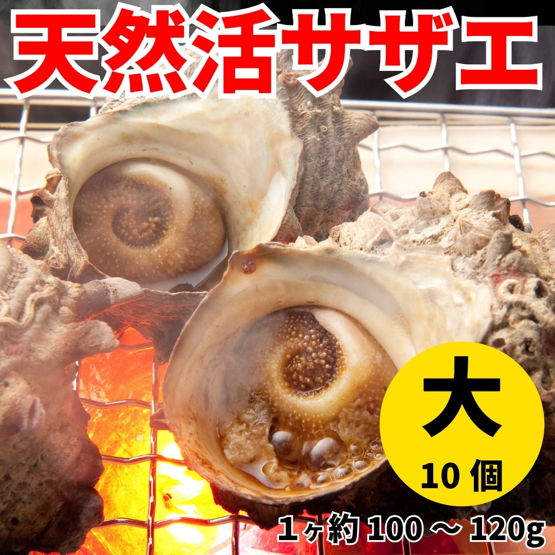 業務用/冷凍便】サザエ（さざえ）（大）100g～120g×10ヶ or （小）80