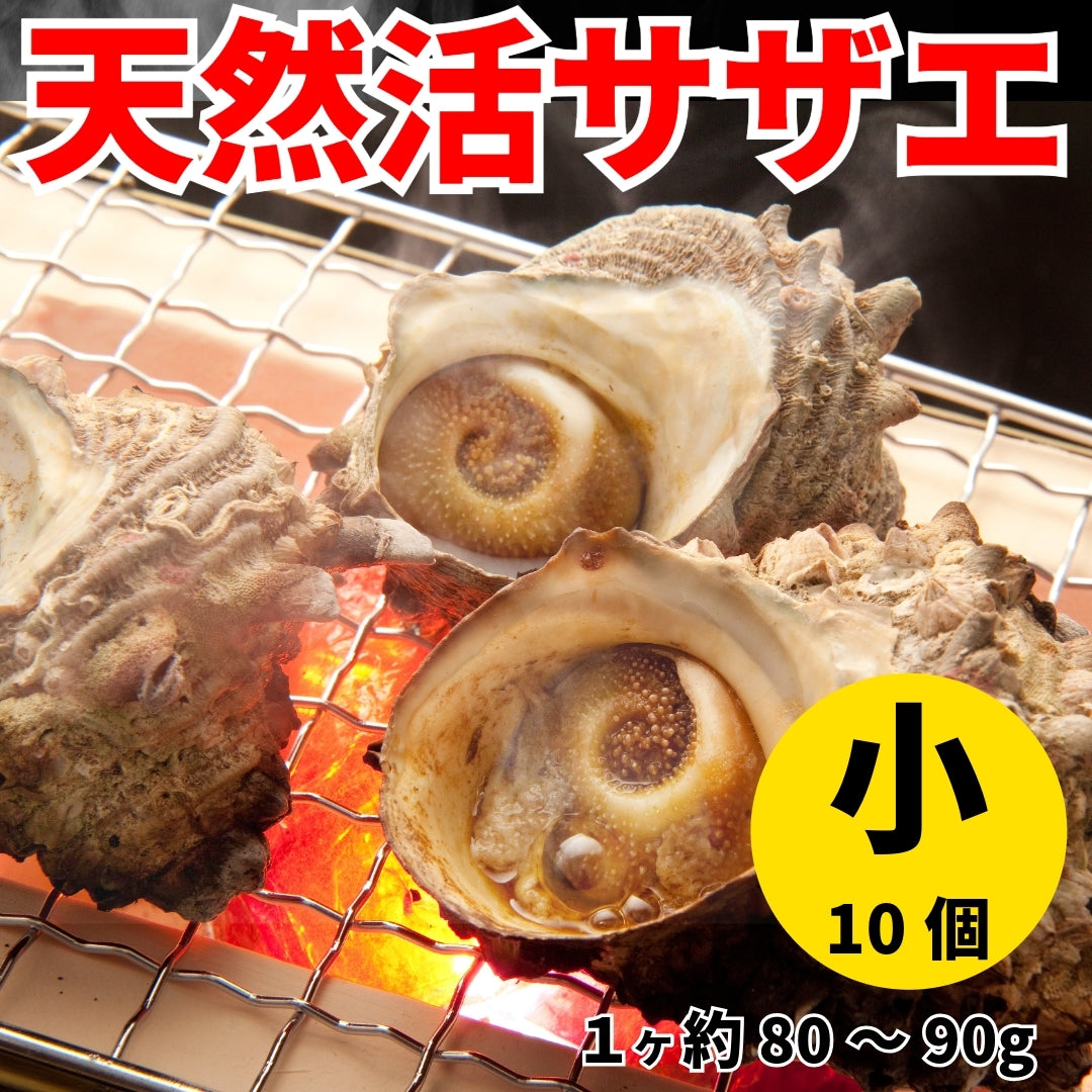 【業務用/冷凍便】サザエ（さざえ）（大）100g～120g×10ヶ or （小）80〜90g