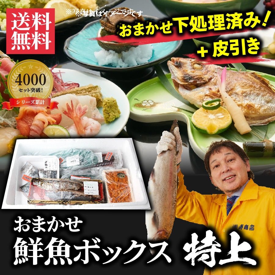 シリーズ累計4000箱突破！価格から選べる★魚屋の森さん 国産商品/おまかせ鮮魚BOX【便利な下処理付き】