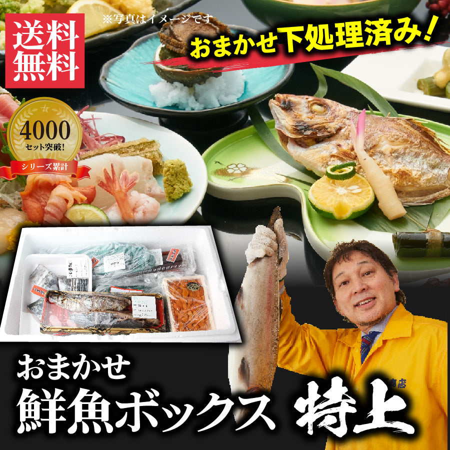 シリーズ累計4000箱突破！価格から選べる★魚屋の森さん 国産商品/おまかせ鮮魚BOX【便利な下処理付き】