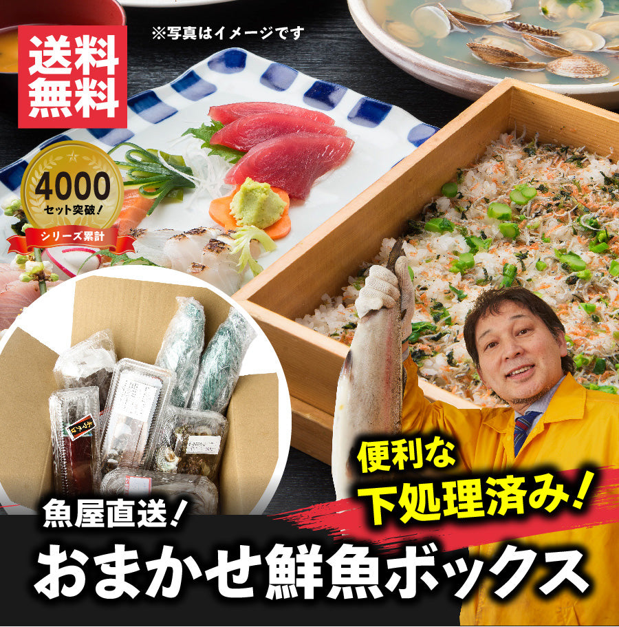 シリーズ累計4000箱突破！価格から選べる★魚屋の森さん 国産商品/おまかせ鮮魚BOX【便利な下処理付き】