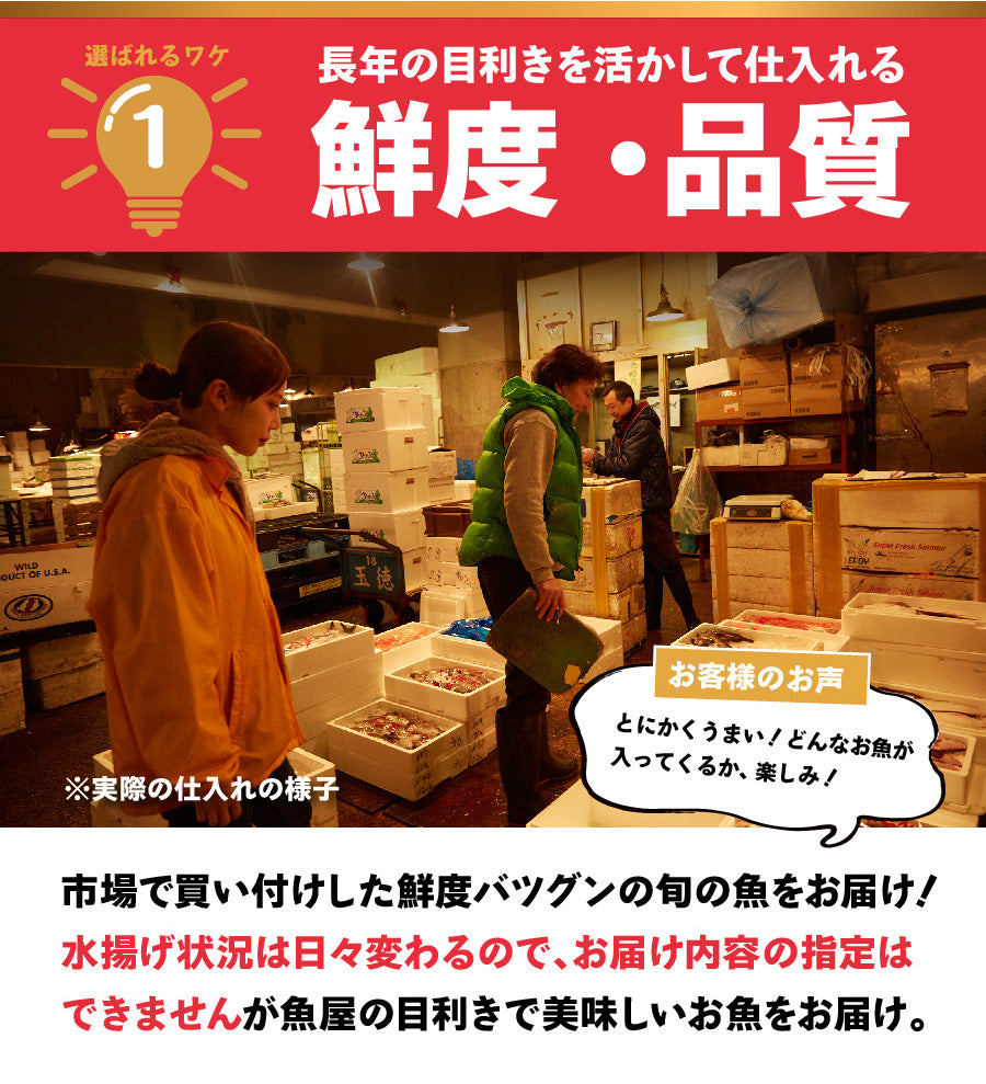 シリーズ累計4000箱突破！価格から選べる★魚屋の森さん 国産商品/おまかせ鮮魚BOX【便利な下処理付き】