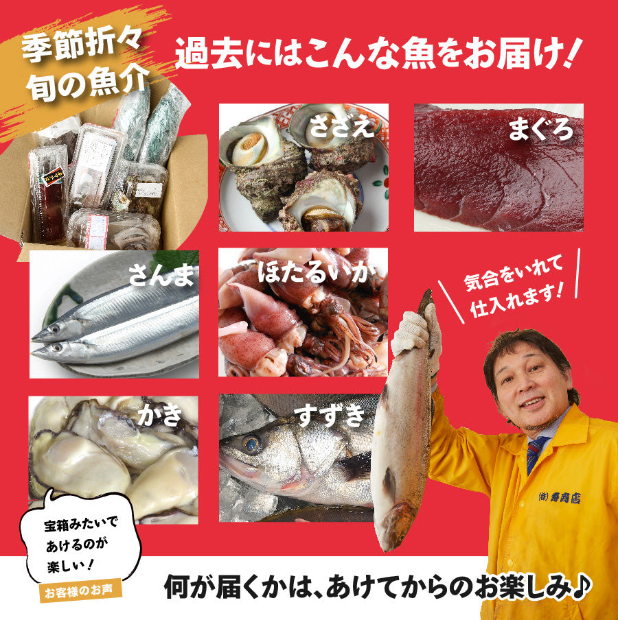 シリーズ累計4000箱突破！価格から選べる★魚屋の森さん 国産商品/おまかせ鮮魚BOX【便利な下処理付き】