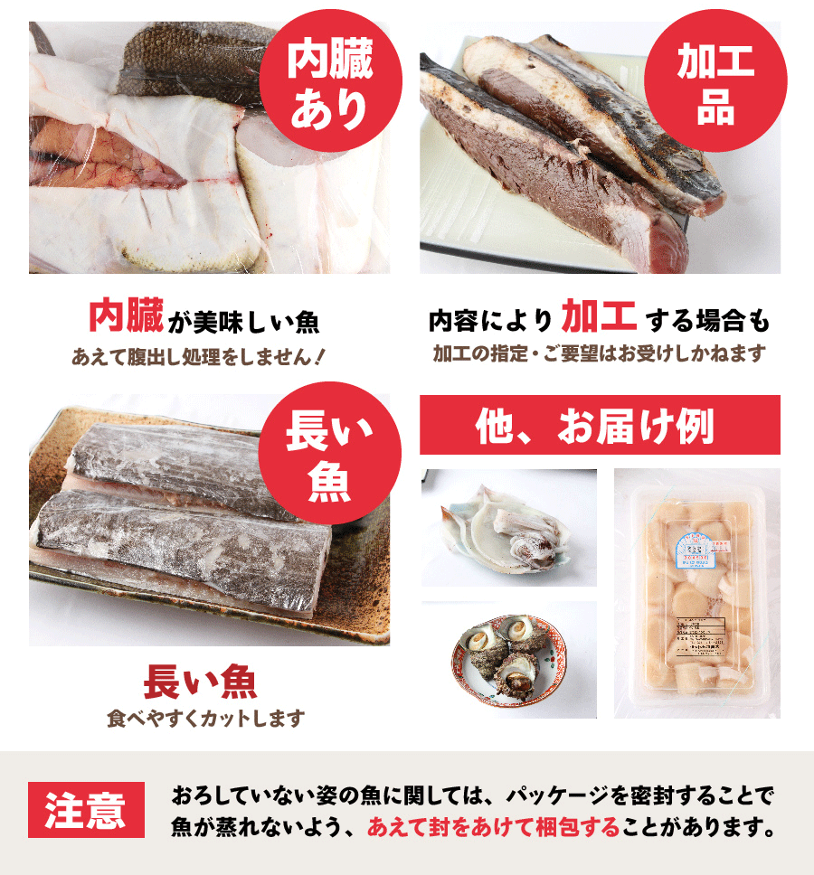 シリーズ累計4000箱突破！価格から選べる★魚屋の森さん 国産商品/おまかせ鮮魚BOX【便利な下処理付き】