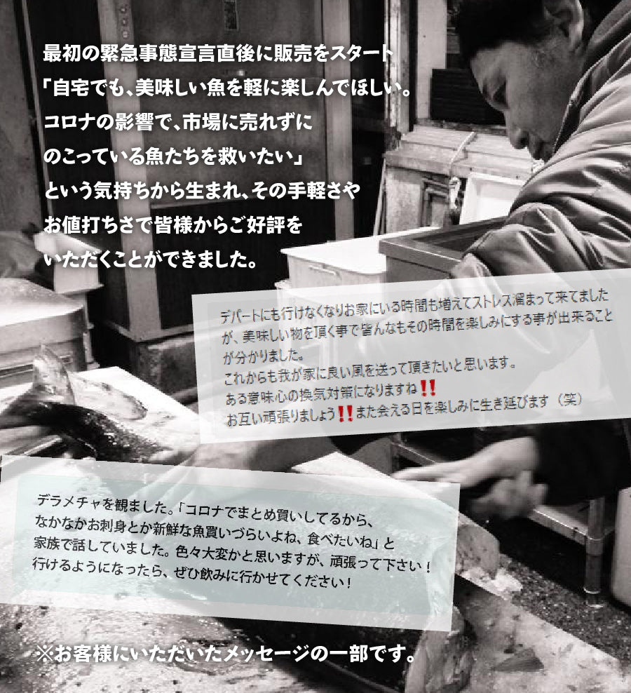 シリーズ累計4000箱突破！価格から選べる☆魚屋の森さんおまかせ鮮魚