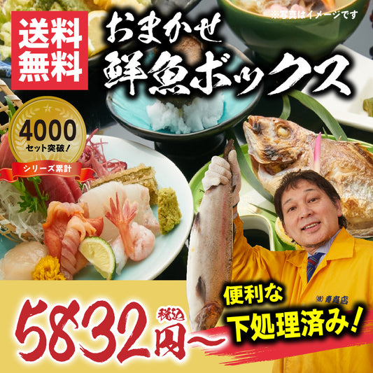 シリーズ累計4000箱突破！価格から選べる★魚屋の森さん 国産商品/おまかせ鮮魚BOX【便利な下処理付き】