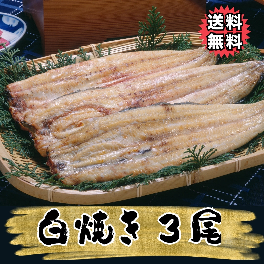 選べる！直焼きの国産うなぎ蒲焼 or 白焼き（お値打ちな2尾 or 3尾）