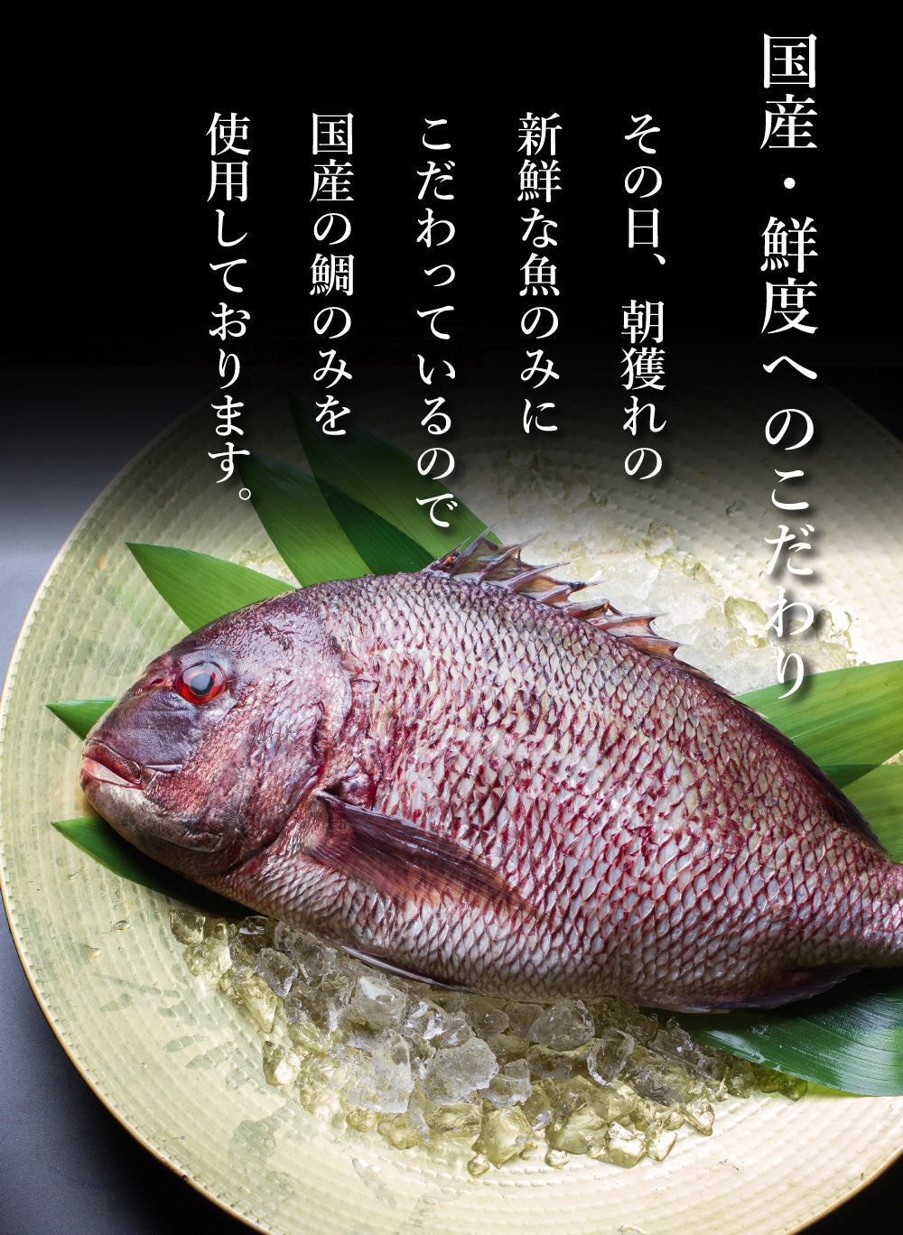 2種類から選べる！鯛しゃぶしゃぶ鍋セット約3人前24切（タイ